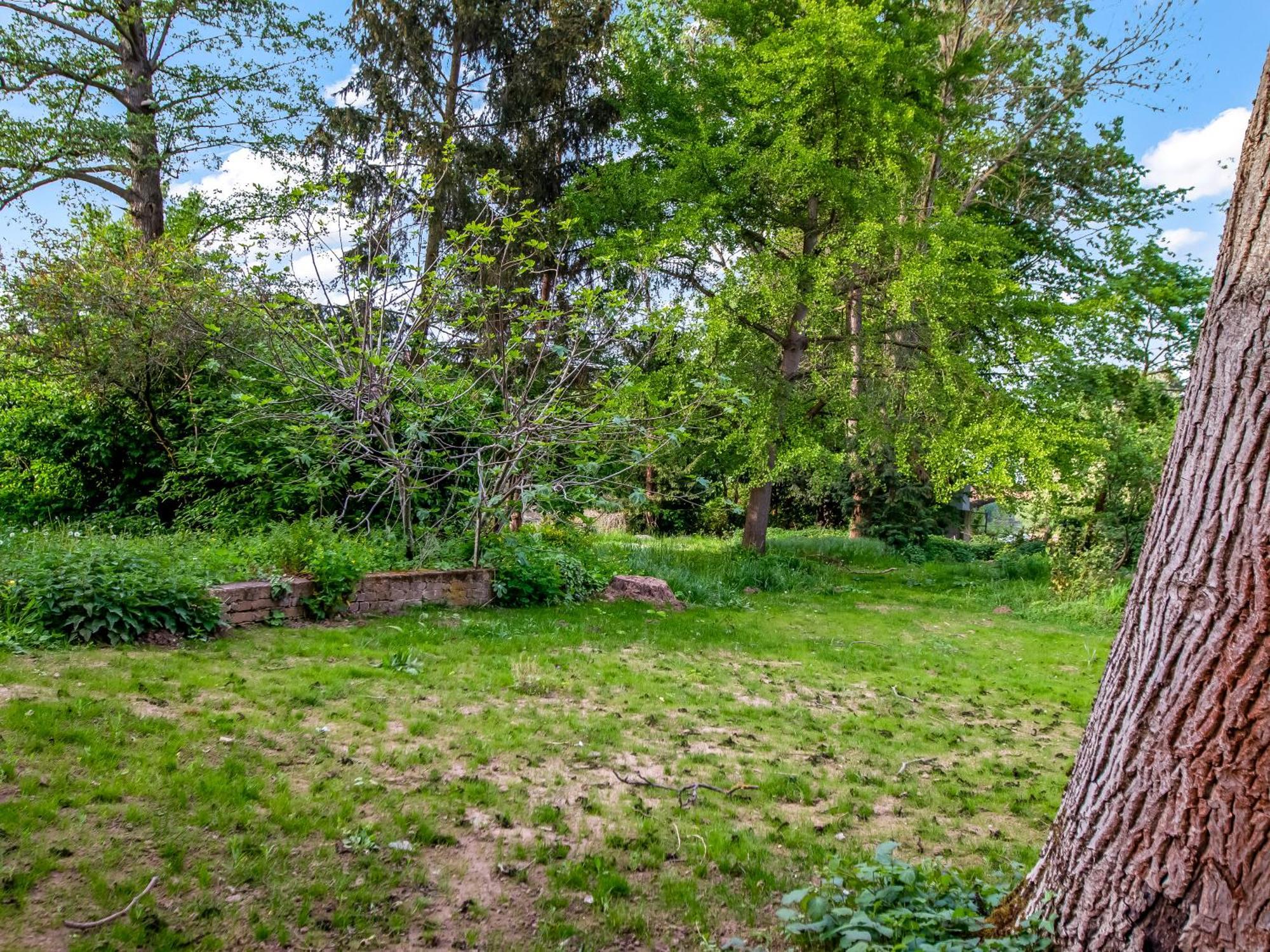 Altstadt Apartment Am Wasser Mit Parkplatz Und Grossem Garten Bad Kreuznach Εξωτερικό φωτογραφία