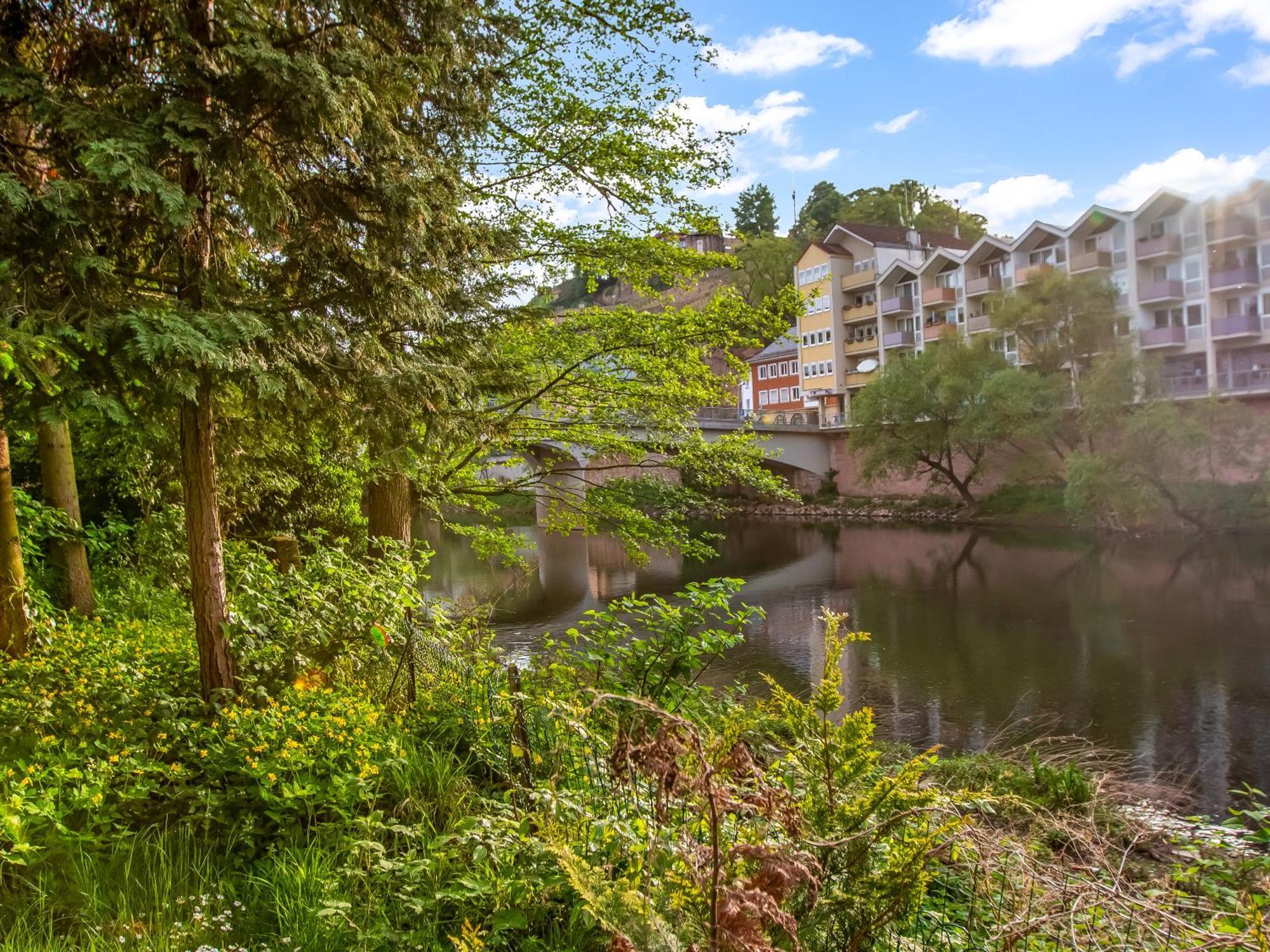 Altstadt Apartment Am Wasser Mit Parkplatz Und Grossem Garten Bad Kreuznach Εξωτερικό φωτογραφία